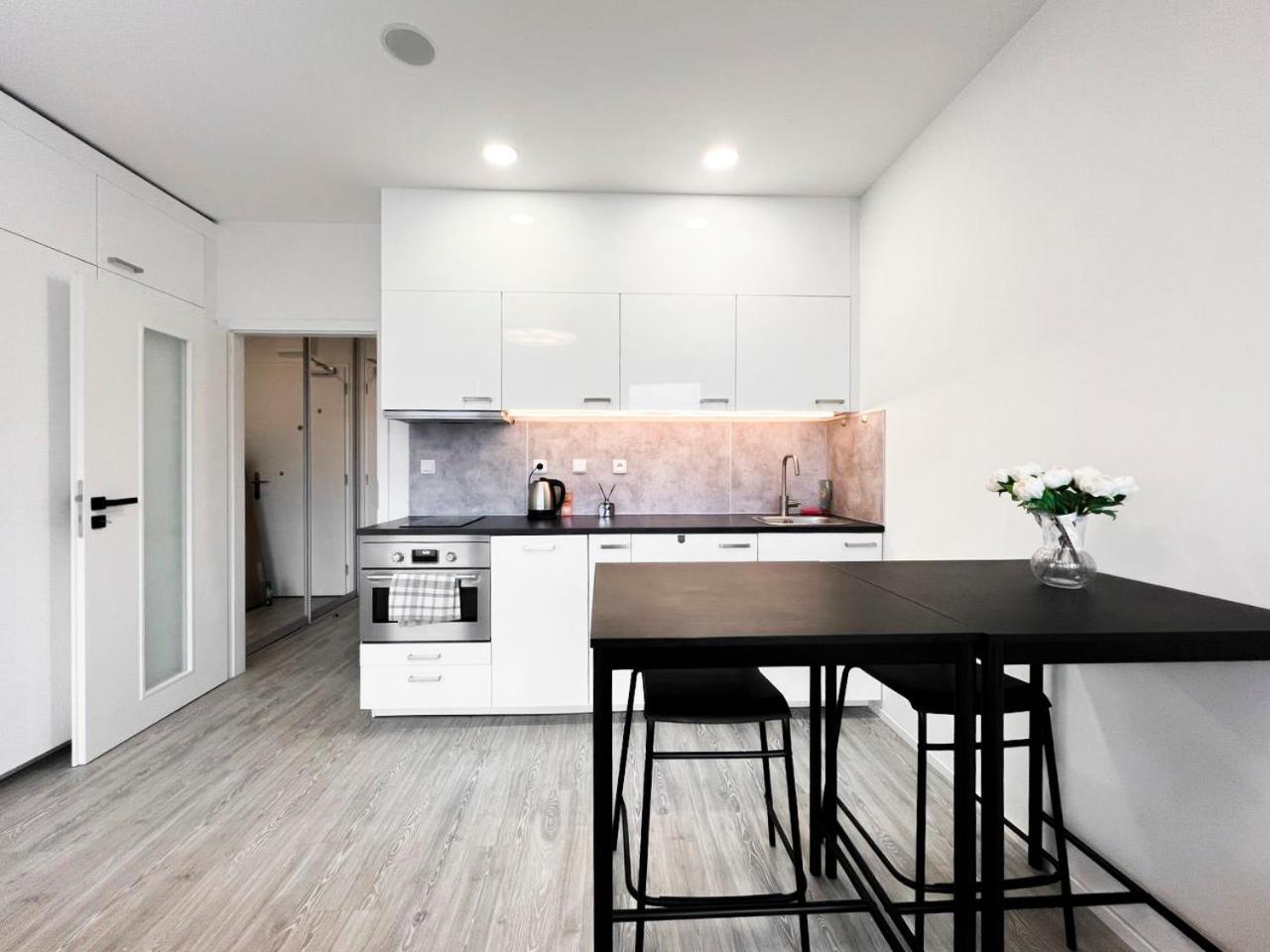 Apartament Vinice Praga