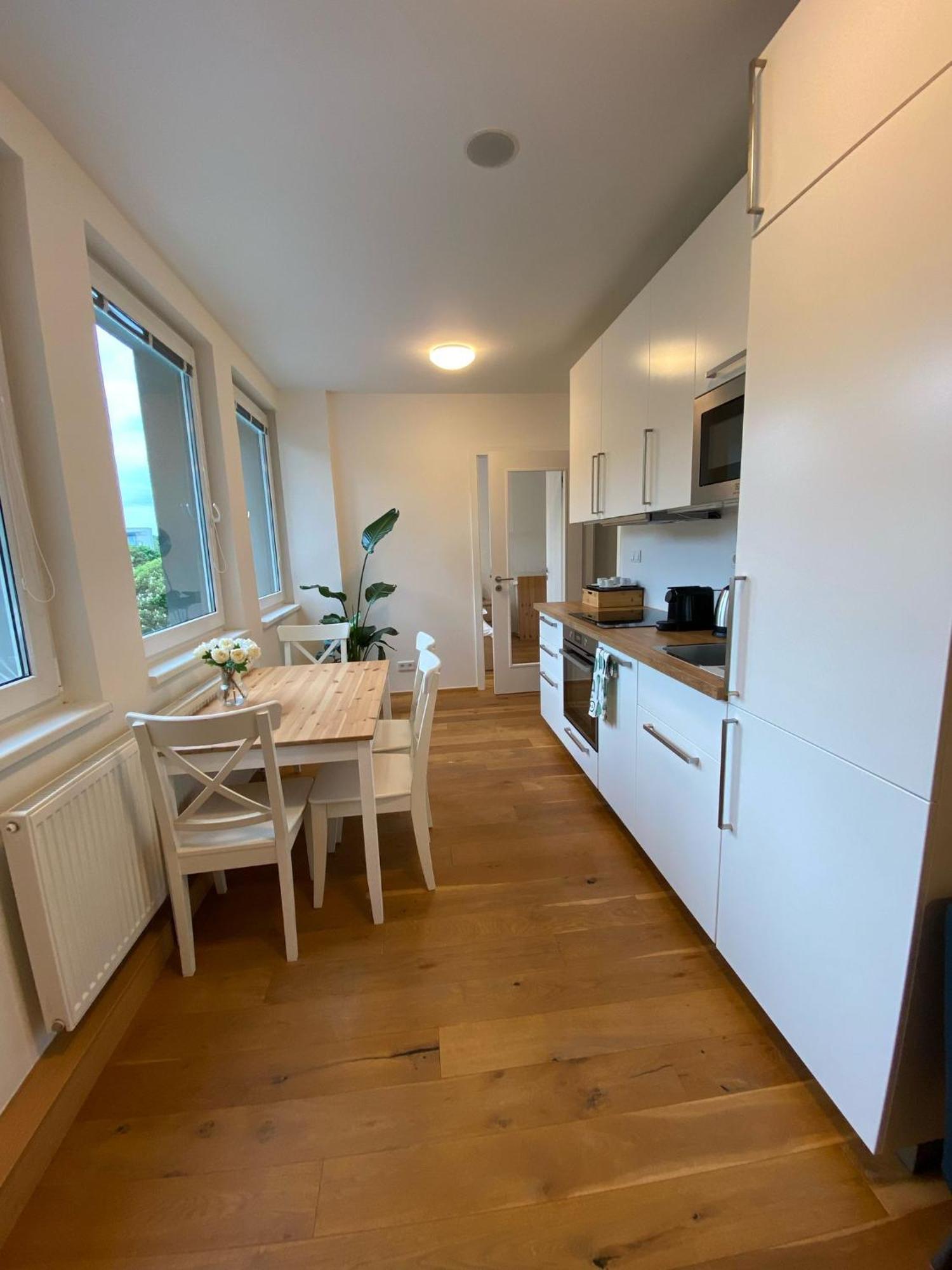 Vinice Apartamento Praga