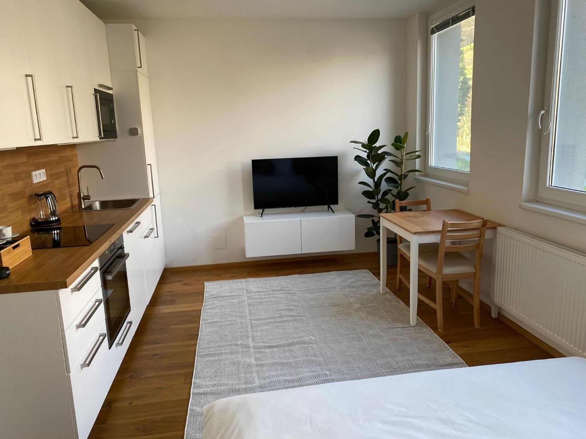 Apartamento Vinice *