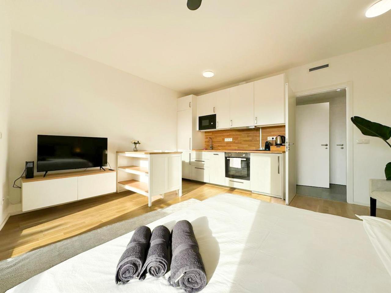 Vinice Apartamento Praga